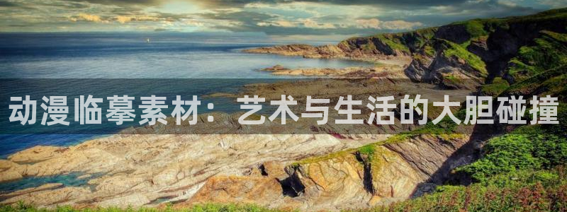 囧次元app下载官方最新：动漫临摹素材：艺术与生活的大胆碰撞